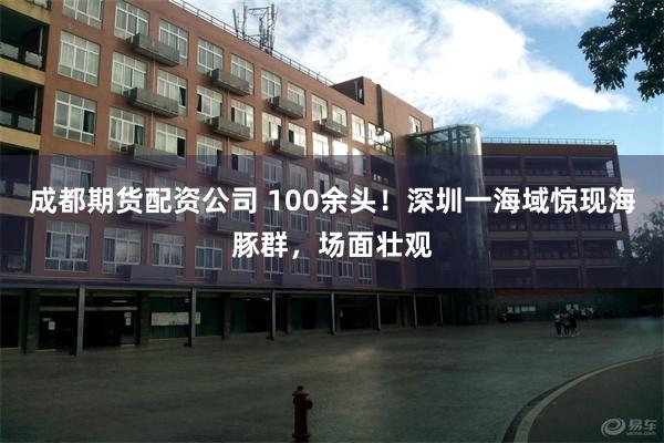 成都期货配资公司 100余头！深圳一海域惊现海豚群，场面壮观
