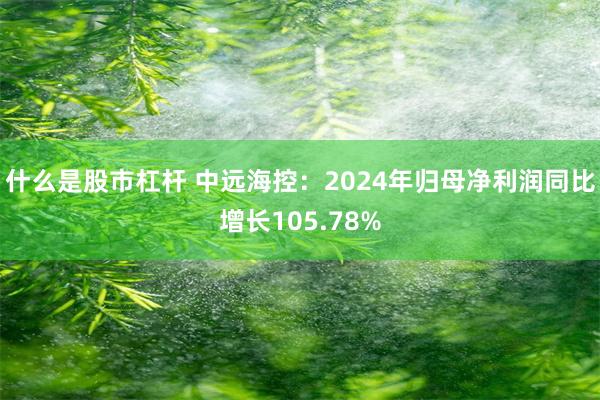 什么是股市杠杆 中远海控：2024年归母净利润同比增长105.78%