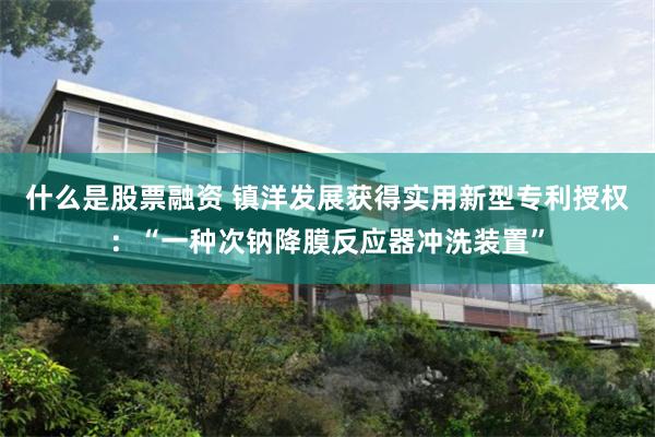 什么是股票融资 镇洋发展获得实用新型专利授权：“一种次钠降膜反应器冲洗装置”