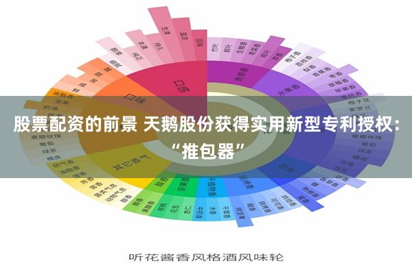 股票配资的前景 天鹅股份获得实用新型专利授权：“推包器”