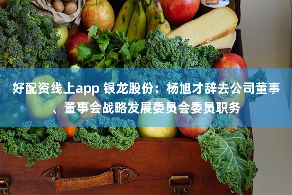 好配资线上app 银龙股份：杨旭才辞去公司董事、董事会战略发展委员会委员职务