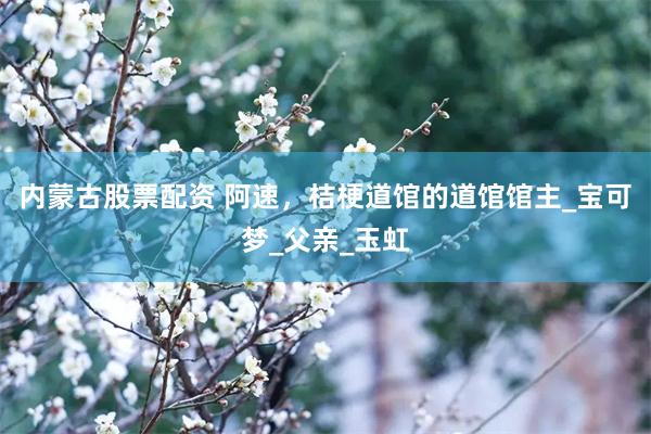 内蒙古股票配资 阿速，桔梗道馆的道馆馆主_宝可梦_父亲_玉虹