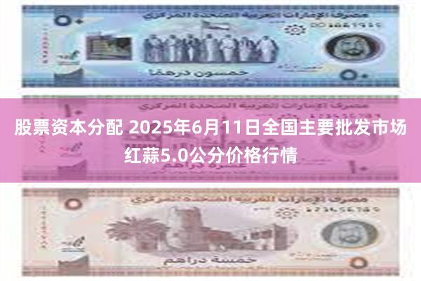 股票资本分配 2025年6月11日全国主要批发市场红蒜5.0公分价格行情