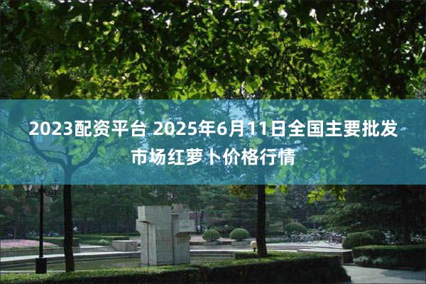 2023配资平台 2025年6月11日全国主要批发市场红萝卜价格行情