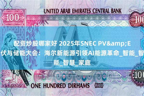 配资炒股哪家好 2025年SNEC PV&ES国际光伏与储能大会：海尔新能源引领AI能源革命_智能_智慧_家庭